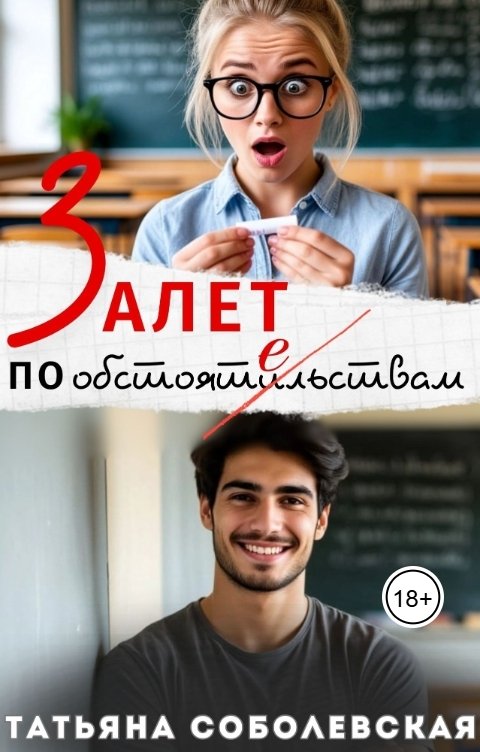 Обложка книги Татьяна Соболевская Залет по обстоятельствам