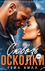 обложка книги Гейл Хилл "Сквозь осколки"