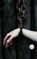 обложка книги Vladimir Sedinkin "Звон кандалов"