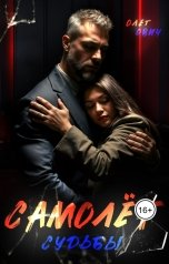 обложка книги Олег Ович "Самолёт судьбы"