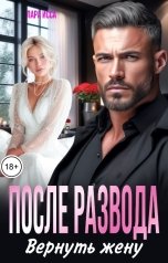 обложка книги Лара Исса "После развода. Вернуть жену"