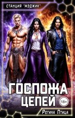 обложка книги Регина Птица "Госпожа цепей. 5 покупок Госпожи"