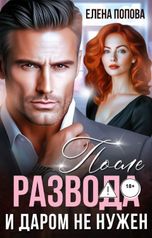 обложка книги Елена Попова "После развода. И даром не нужен"