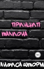 обложка книги Анфиса Шторм "Принцип Талиона"
