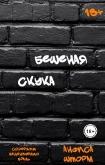 обложка книги Анфиса Шторм "Бешеная скука"