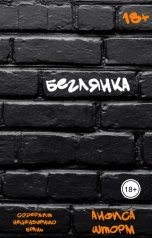 обложка книги Анфиса Шторм "Беглянка"