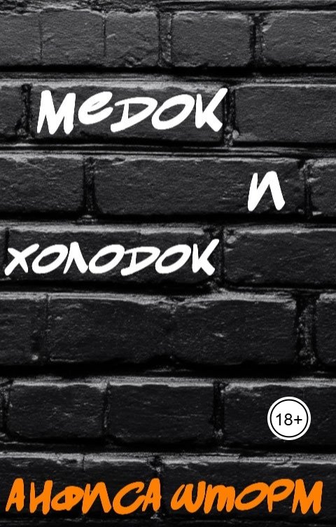 Обложка книги Анфиса Шторм Медок и холодок