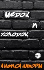 обложка книги Анфиса Шторм "Медок и холодок"
