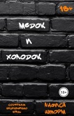 обложка книги Анфиса Шторм "Медок и холодок"