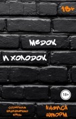 обложка книги Анфиса Шторм "Медок и холодок"