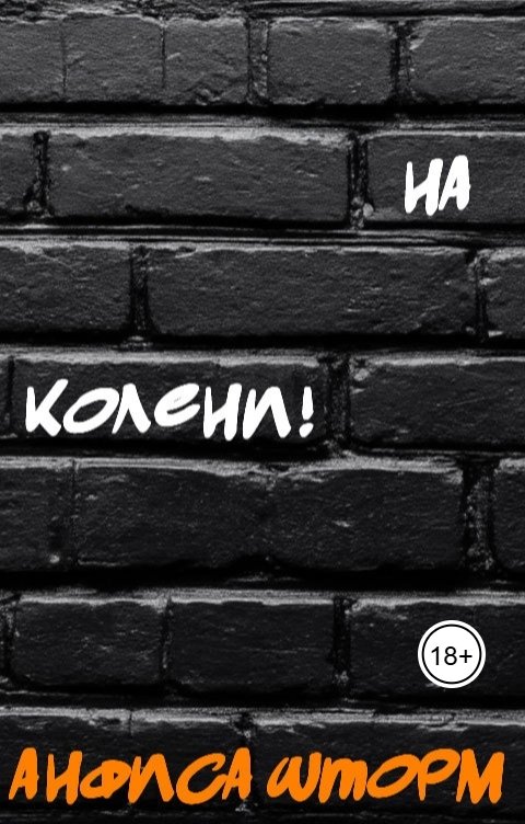 Обложка книги Анфиса Шторм На колени!