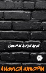 обложка книги Анфиса Шторм "Столкновение"