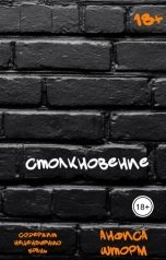 обложка книги Анфиса Шторм "Столкновение"