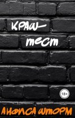 обложка книги Анфиса Шторм "Краш-тест"