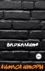 обложка книги Анфиса Шторм "Виджиланте"