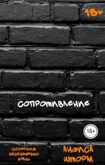 обложка книги Анфиса Шторм "Сопротивление"