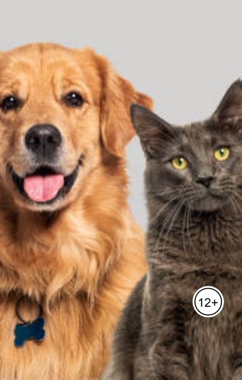 Обложка книги Александр Посохов Басни Посохова про кошек и собак