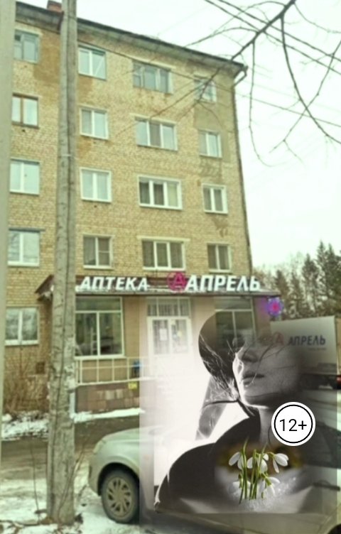 Обложка книги Ида Шери Подснежник