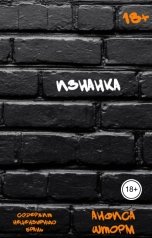 обложка книги Анфиса Шторм "Изнанка"