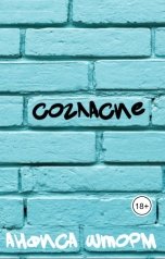обложка книги Анфиса Шторм "Согласие"