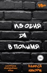 обложка книги Анфиса Шторм "Из огня да в полымя"