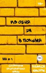 обложка книги Анфиса Шторм "Из огня да в полымя"