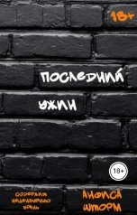 обложка книги Анфиса Шторм "Последний ужин"
