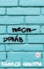 обложка книги Анфиса Шторм "Тест-драйв"