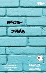 обложка книги Анфиса Шторм "Тест-драйв"