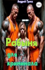 обложка книги Андрей Гросс "Рабыня для Криминала"