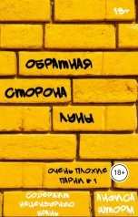 обложка книги Анфиса Шторм "Обратная сторона Луны"