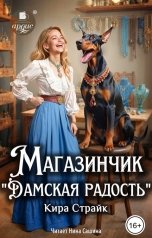 обложка книги Кира Страйк "Магазинчик Дамская радость"