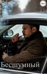 обложка книги Kavallin "Бесшумный"