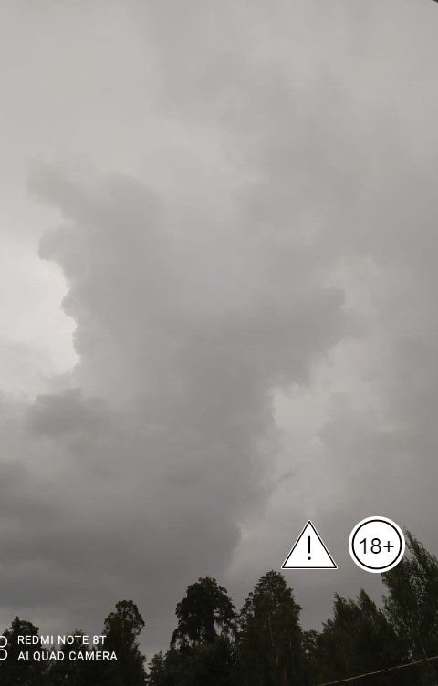 Обложка книги Андрей Ланиус Ритм осени