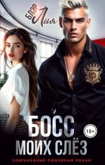 обложка книги Лия Блэр "Босс моих слёз"