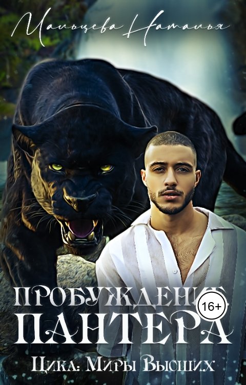 Обложка книги Наталья Мальцева Пробуждение. Пантера