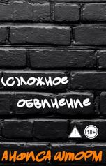 обложка книги Анфиса Шторм "(С)ложное обвинение"