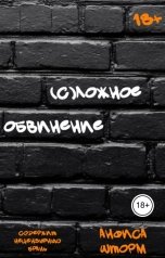 обложка книги Анфиса Шторм "(С)ложное обвинение"