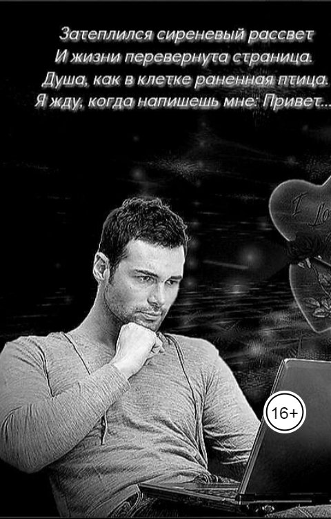 Обложка книги Anton Cherepanov Виртуальная любовь