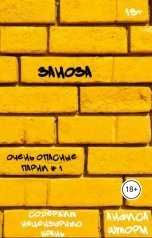 обложка книги Анфиса Шторм "Заноза"