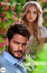 обложка книги Юлия Луна "Мой убегающий ангел"