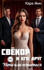 обложка книги Кара Мин "Свёкор и его друг. Уйти или остаться"