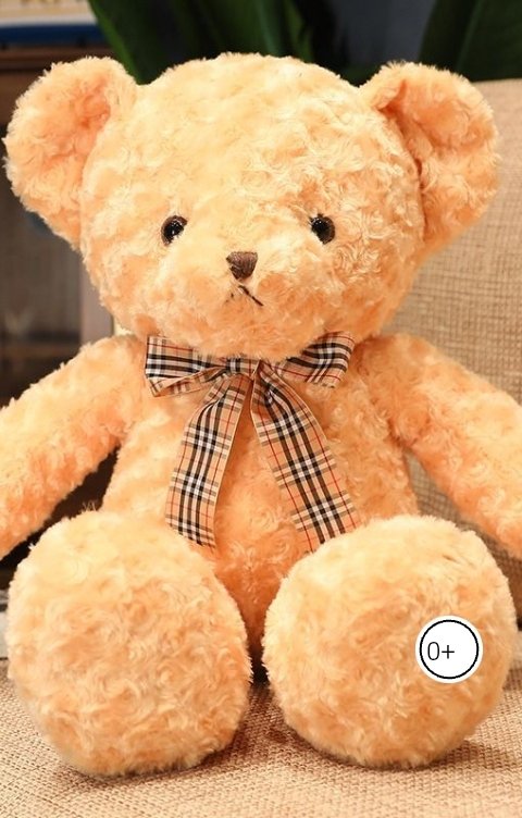 Обложка книги Anton Cherepanov Приключения медвежонка Тэдди