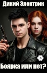 обложка книги Дикий Электрик "Боярка или нет?"