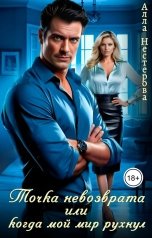 обложка книги Алла Нестерова "Точка невозврата или когда мой мир рухнул"