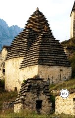 обложка книги Anton Cherepanov "Город мёртвых"