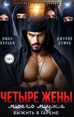 обложка книги Иман Кальби, Джулия Думна "Четыре жены моего мужа. Выжить в гареме"
