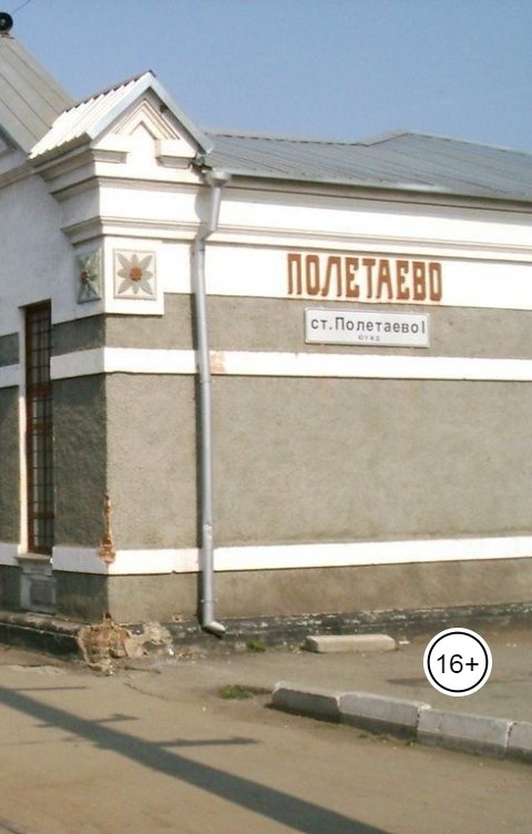 Обложка книги Anton Cherepanov Полетаево