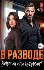 обложка книги Карина Ли "В разводе. Бывший или будущий?"