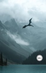 обложка книги Дмитрий Мактаз "Дракон"